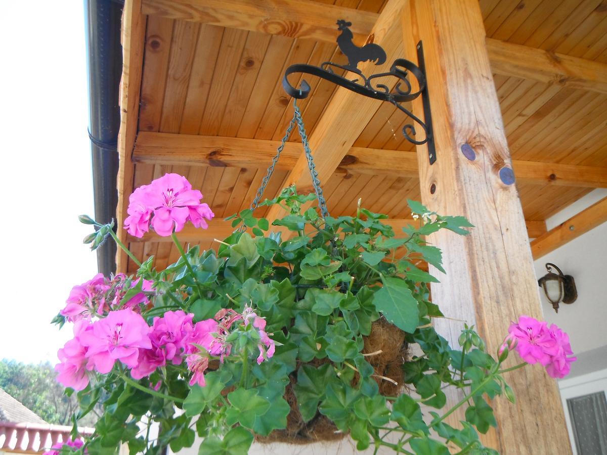 Villa Ani Gorna Kovachitsa 외부 사진